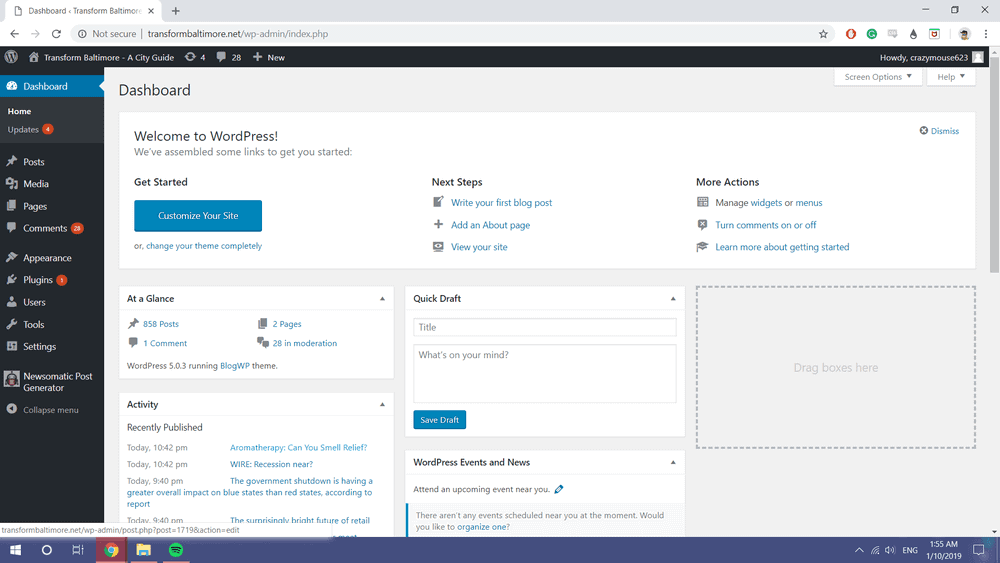 Wordpress Admin Area Main Screen
