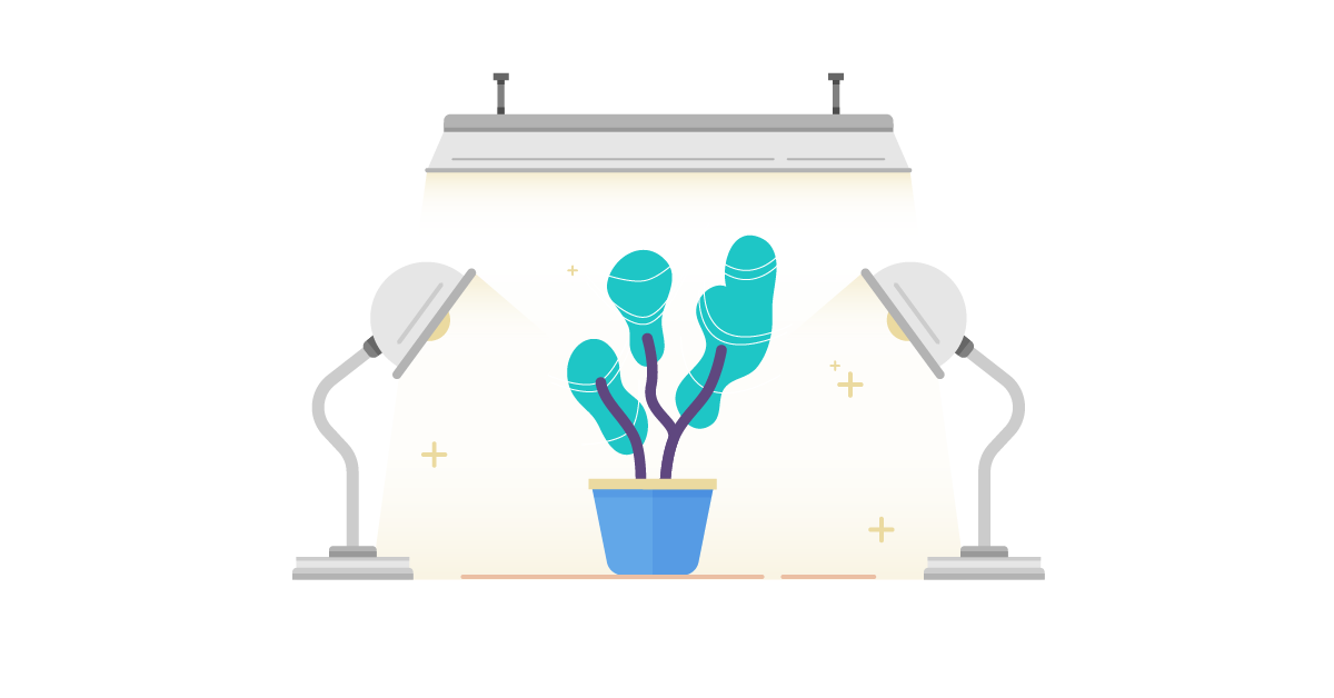 E-commerce Growth Hacks